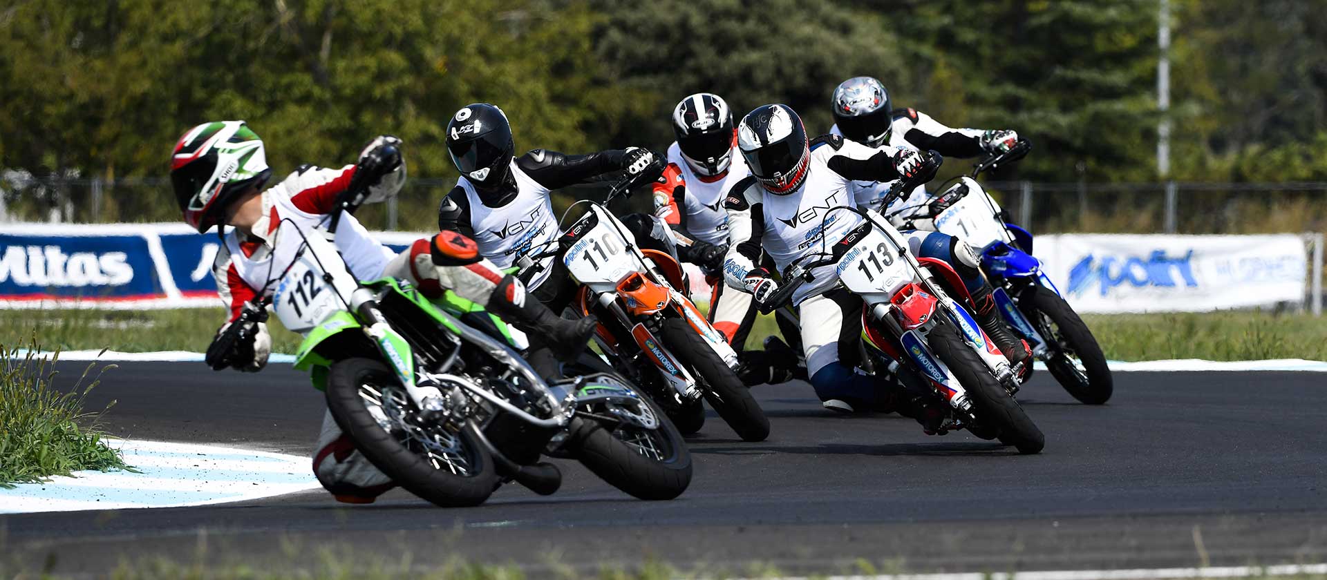 TROFEO DERAPAGE VENT A POMPOSA NEL SEGNO DI ZANI